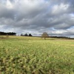 Photo of a wintery meadow that rolls far into the distance. Winter sunshine lighting up the mown grass, and dramatic clouds billow over.