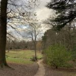 Wintery morning at Lily Hill Park. Photo looking across the landscaped park.