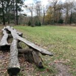 Photo taken looking along a very long picnic table, made from a tall tree trunk.