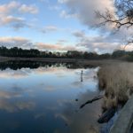 Panoramic photograph looking across the pond from a viewing platform. Pretty evening sky and nice reflections of clouds in the water.