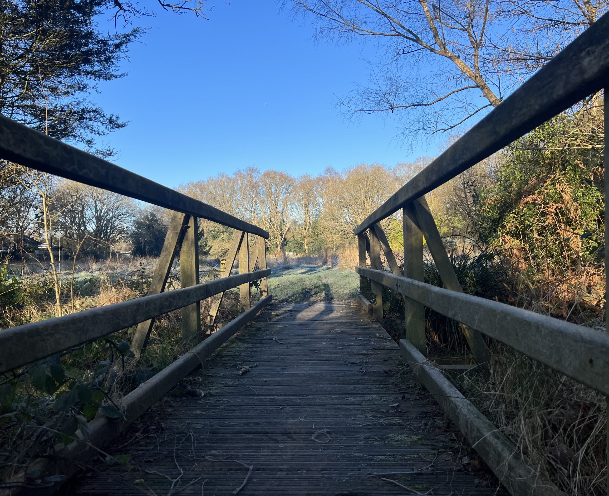 Looking down a wooden boardwalk towards a frosty meadow with bright blue sky in the background