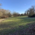 Wintery photograph of a green park, with bare trees.