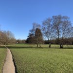 Wintery photograph of a green park, a surfaced path runs straight across and trees are dotted about.