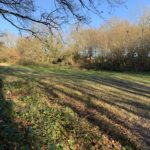 Winter photograph of a clearing in the woodland.