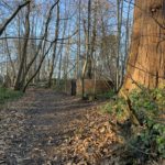 Winter woodland photograph showing the trunk of a large evergreen tree in the foreground. A circular brick built structure stands just beside the path.