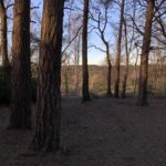 Winter photograph of the view through the trees of the surrounding countryside