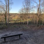 Winter photograph of the view through the trees of the surrounding countryside