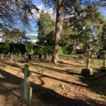 Photograph showing grave stones in a small cemetery.