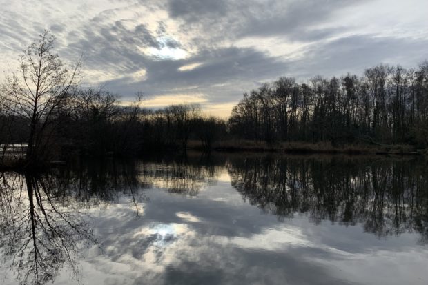 Early morning shot looking across the lake. The colours are black and white in the morning light and the cloudy sky looks brooding and dramatic.