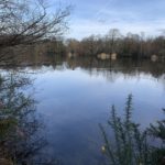 Photo looking out across the lake.