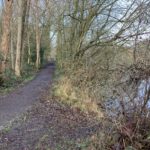 Photo taken looking along a woodland path.