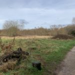 Wintery photo shows a nice path running alongside a rough meadow.