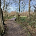 Wintery photo shows a path heading out of a woodland and across a bridge.