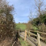 Photo of a path leading through a hedgerow, over a small wooden bridge into a meadow.