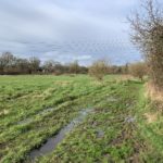 Wintery photo showing how wet the paths can be in winter. There are big puddles, the ground looks really soggy.