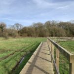 Wintery scene as a wooden boardwalk spans a wet meadow.