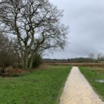 Photo of a grey winter day. The surfaced path is more or less dry.