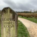 Marker for Leaping Hare Loop route at Bramshot Farm, beside a soggy path (but not as soggy as surrounding land!)