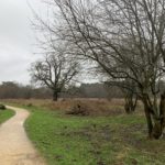 Photo of a grey winter day. The surfaced path is more or less dry.