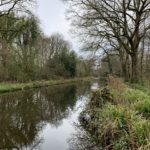 Winter photo on a grey day. Bare trees lining the Basingstoke Canal.