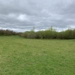 Photo of a green meadow, with trees just starting to burst into leaf.