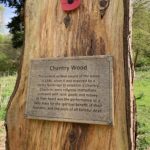 Photo of a sign that says "Chantry Wood - The earliest written record of the wood is 1486, when it was acquired by a Henry Norbridge to establish a Chantry. Chantries were religious institutions endowed with land, goods and money. At their heart was the performance of a daily mass for the spiritual benefit of their founders, and the souls of all faithful dead."
