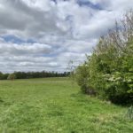 Photo of a large green meadow with Hawthorne hedge in the foreground.