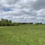 Photo of a large green meadow with a surfaced path snaking through.