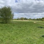 Photo of a large green meadow with a surfaced path snaking through.