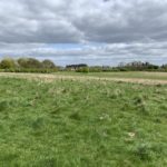 Photo of a large green meadow.