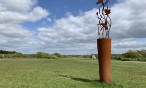 Photo of a large green meadow, with a iron artwork in the foreground. The artwork celebrates the Skylarks that nest here.