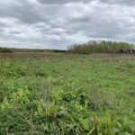 Photo taken on an overcast day. Looking out across a wide expanse of meadow.