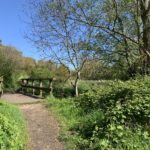 Photo of a bridge over the Cove Brook at Southwood Country Park East.