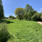 Sunny photo with blue sky. The grass the leaves are bright green. A surfaced path snakes through.