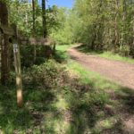 Photo of a wide track through the woodland. A finger post points the way.