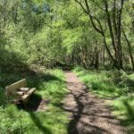 Photo taken on a sunny day with a bench beside the path.