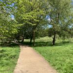 Sunny photo of a surfaced path running through an attractiive group of trees.