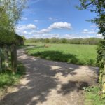 Photo looking through a gateway out into a large green meadow.