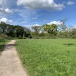 Photo looking down a surfaced path with green meadow either side, and a pond and mature trees in the distance.