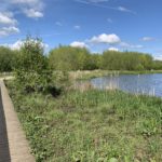 Photo looking along a short section of boardwalk running along the edge of a large pond.