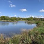 Photo taken looking over a large pond on a sunny day.