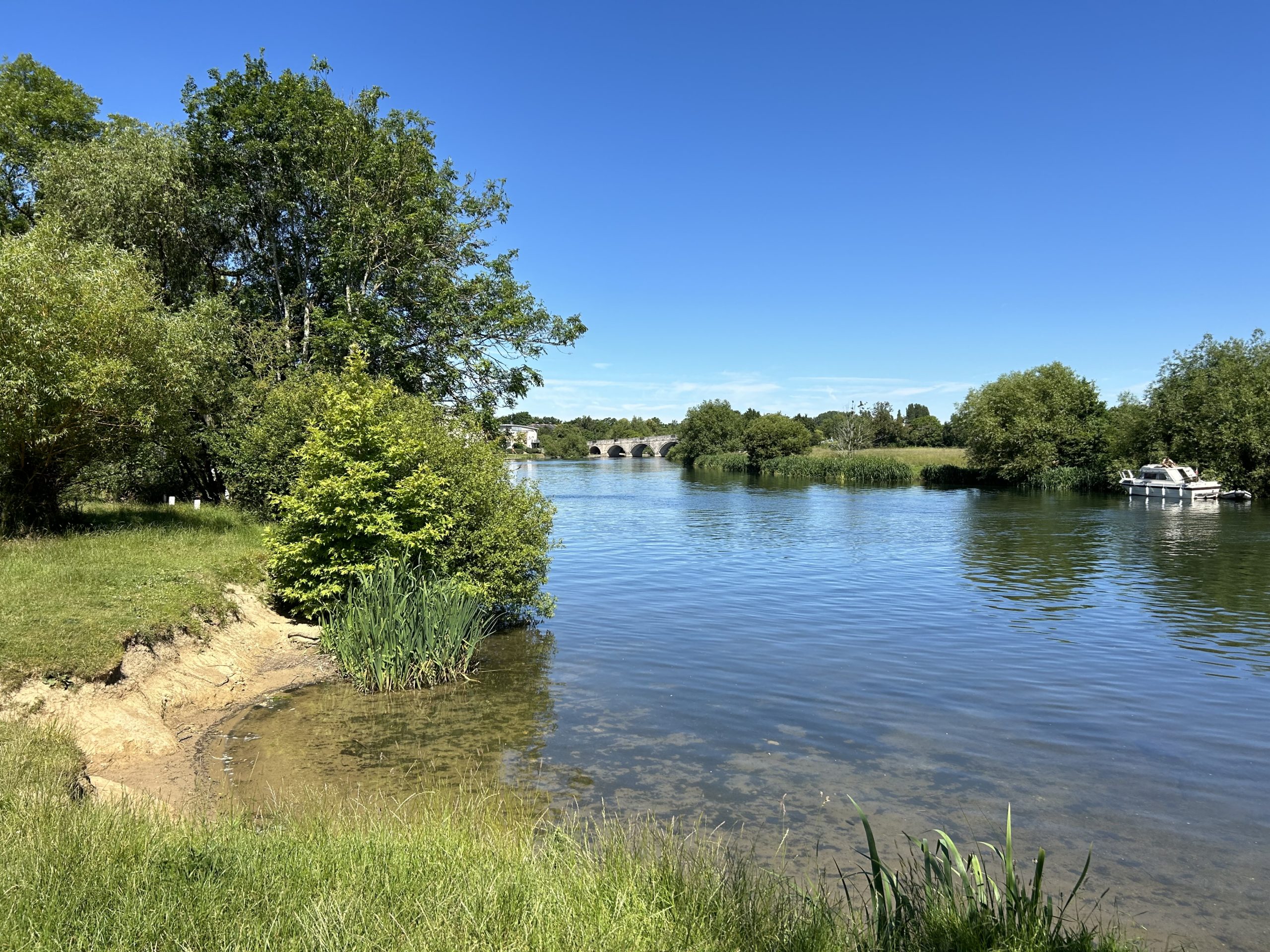 Photo of a view across the River Thames in summer.