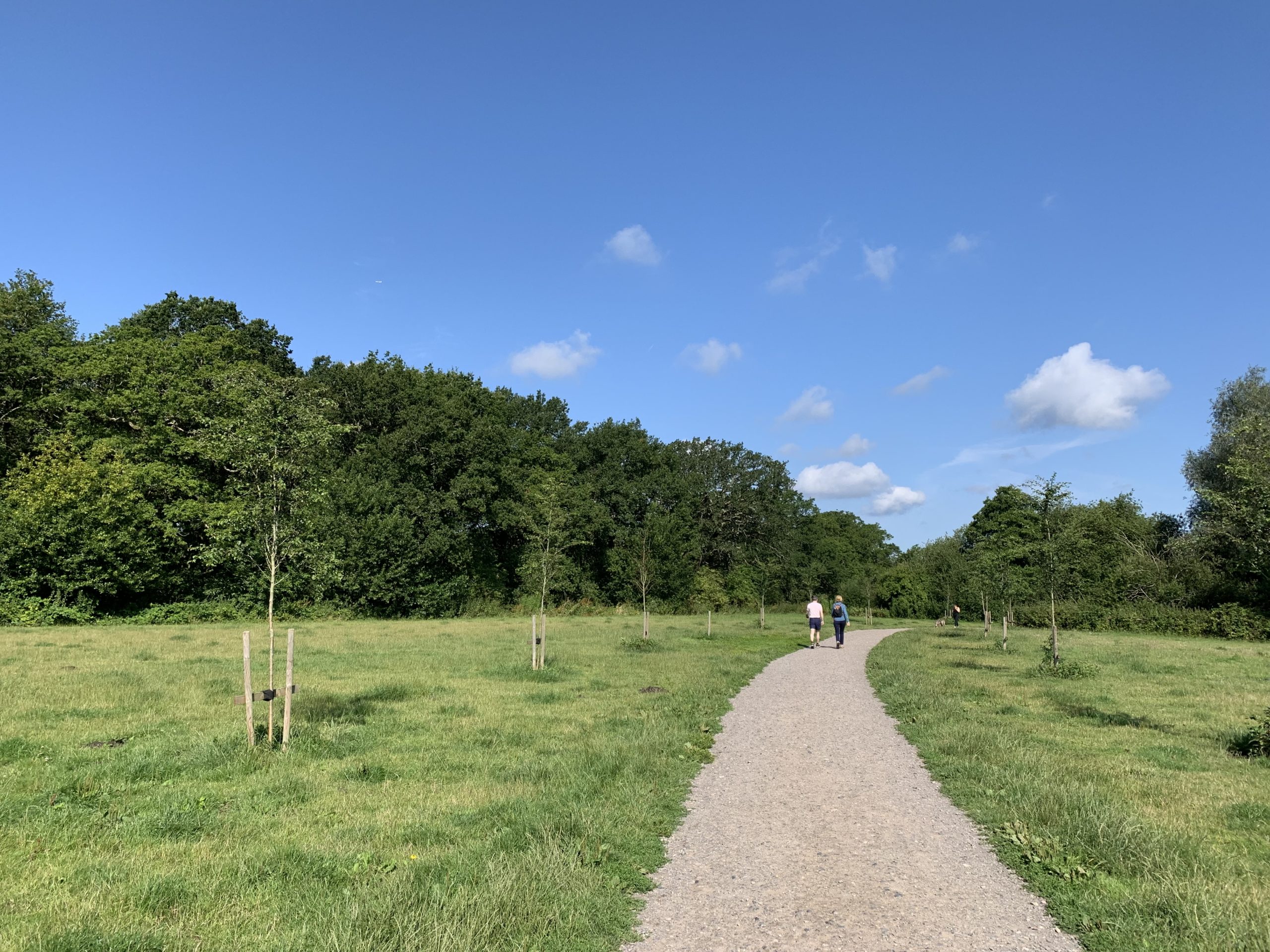 Photo of a surfaced path winding its way through a meadow.