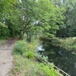 Photo of the Basingstoke Canal towpath on dull, late summer day.