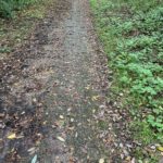 Photo shows the condition of the surfaced paths. Quite an old surface, but works to reduce mud.