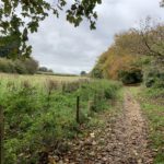 Photo of a sandy bridleway running alongside rolling countryside.