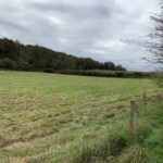Photo shows an attractive swathe of countryside. A series of fields with hedgerows and a hillside covered in taller trees.