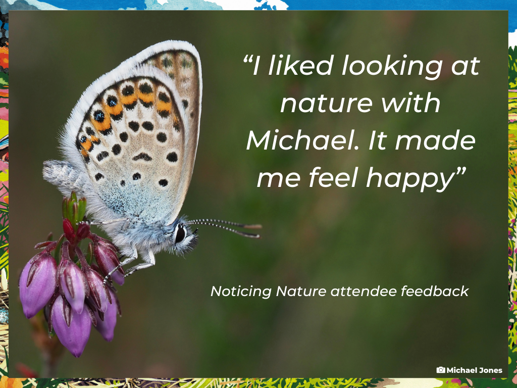 A photo with butterfly with pale blue closed wings with black spots, orange markings and silvery-blue dots perched on a purple-flowered Bell Heather plant. The text reads "I liked looking at nature with Michael. It made me feel happy"