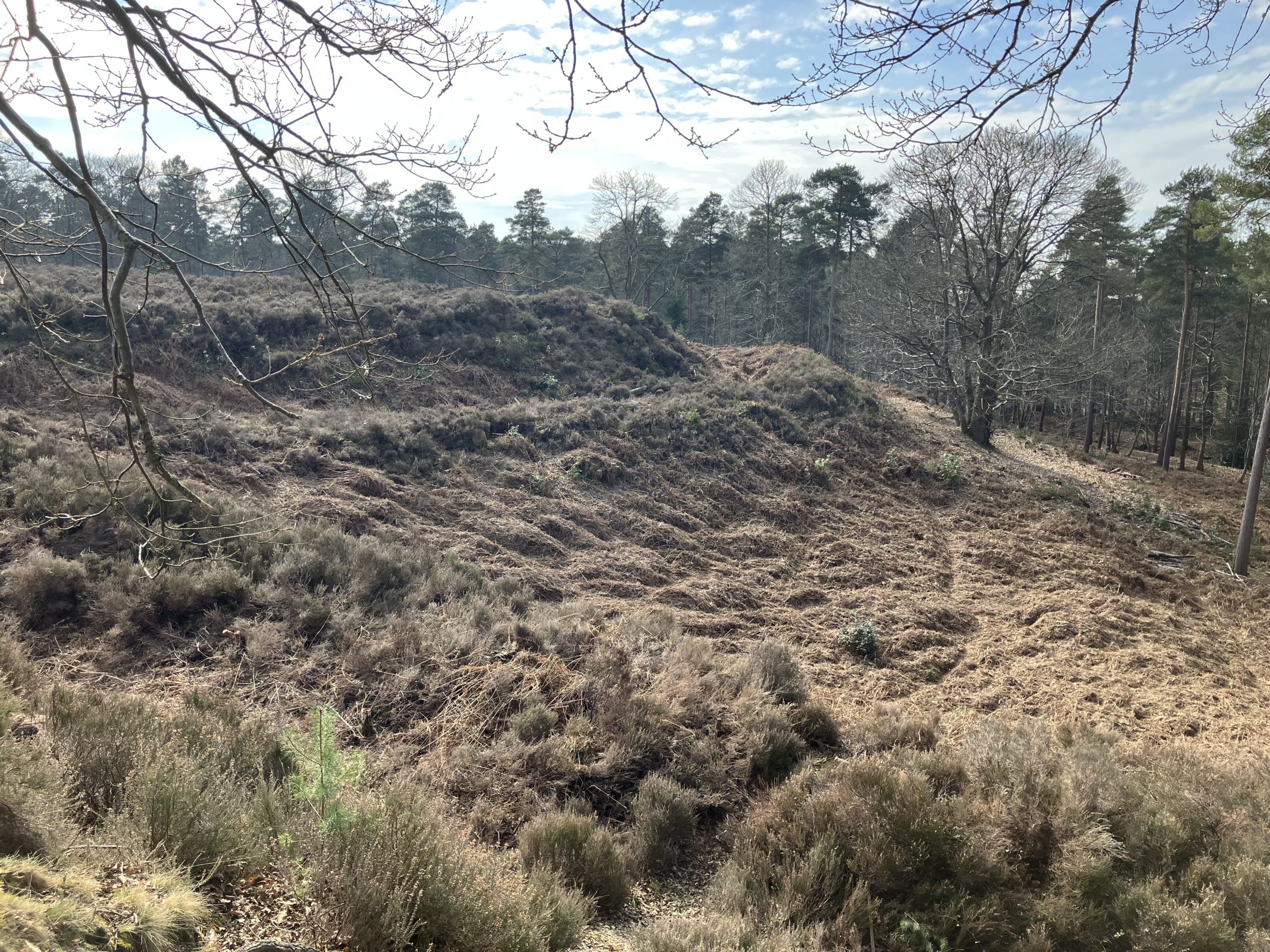 Photo of a heath area shaped in a circle with walls. Belonging to an Iron Age hill fort