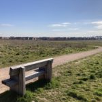 Photo of an open grassy area and surfaced path with wooden bench in the foreground. Houses in the distance